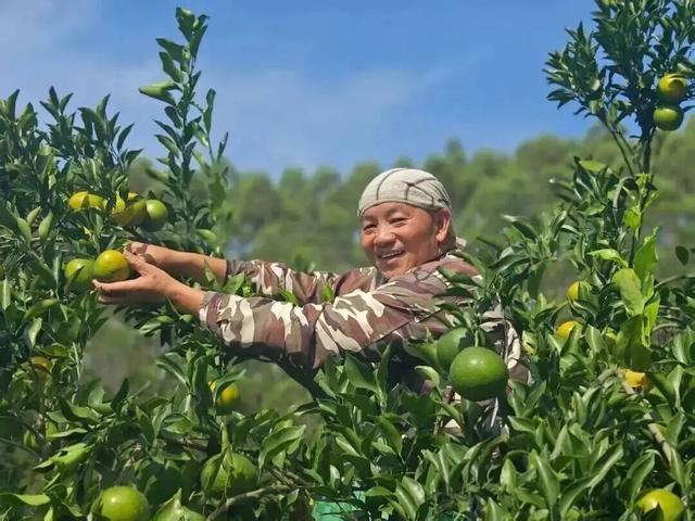 漳州长泰：“泰”式旅游火力全开