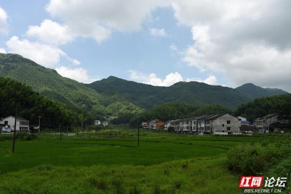 【高清湖南】玉池山居图：在青山绿水田园间，与美好相遇