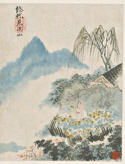 菊花，被误读的传统吉祥花