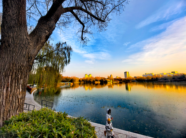 赴一场紫竹院的冬日之约，在夕阳里撞见满院温柔