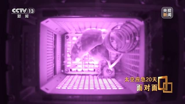 面对面丨飞船舷窗突现裂纹 应急20天 中国航天第一次应急发射的背后故事