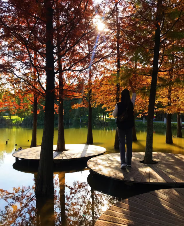 江宁初冬亲子“三件套”→