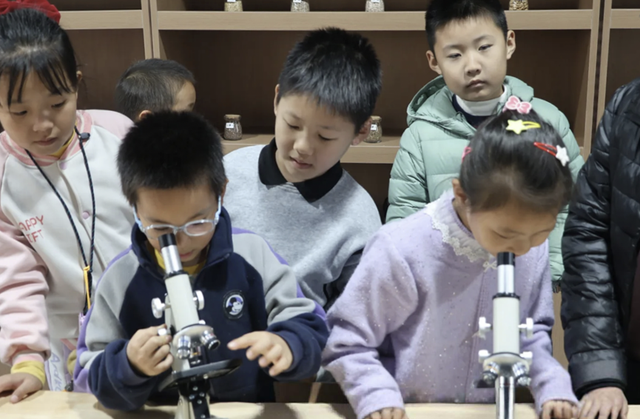 “这一站，济南！文物研学游”在稻乡湾解码文化密码