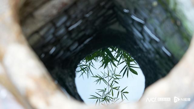 家门口的“新佛山”丨打卡千年状元村，沾一份“上岸”文气