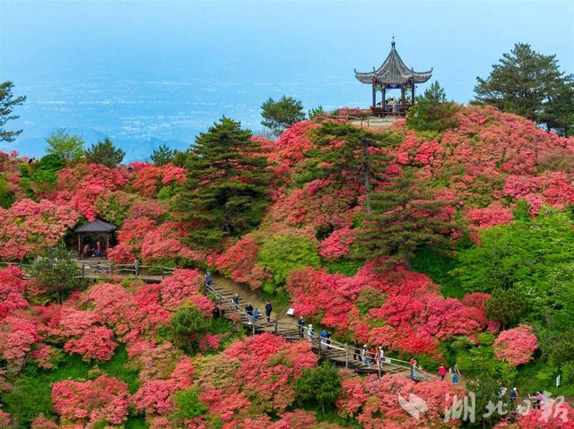 湖北174个4A级及以上景区实现平均20分钟上高速