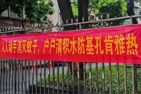 佛山，与蚊子缠斗的一个月｜深一度图片