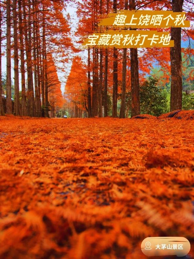 一秒入秋！接下来的江西是这样的…