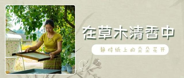 动动手，玩转云南的夏天！