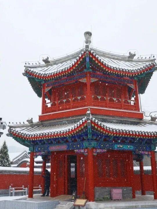 北京下雪了！雪景大片抢先看！外出注意防寒保暖