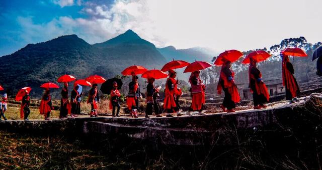 来清远的理由，不止这一个