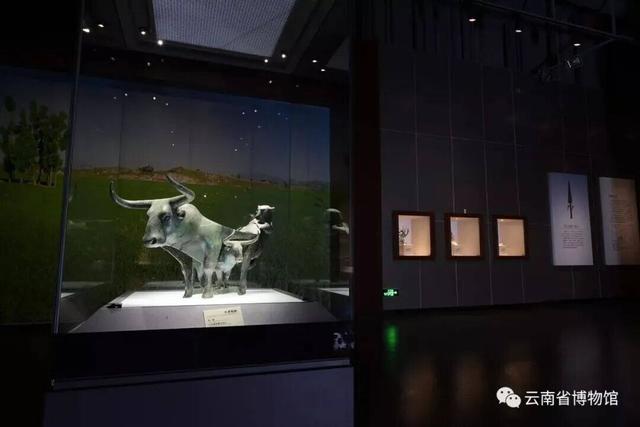 去趟博物馆 和时光唠唠嗑
