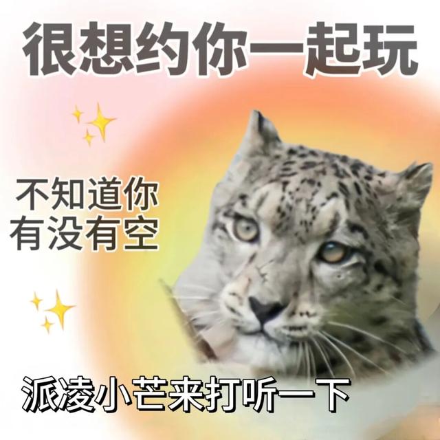 国庆中秋长假，凌小蛰、凌小芒邀您畅游西宁~