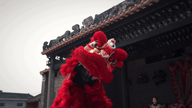 何以中国｜非遗有新人•节庆季：醒狮贺岁年味浓 生生不息震精神