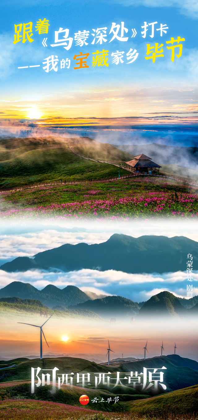 美！美！美！美！美！美！