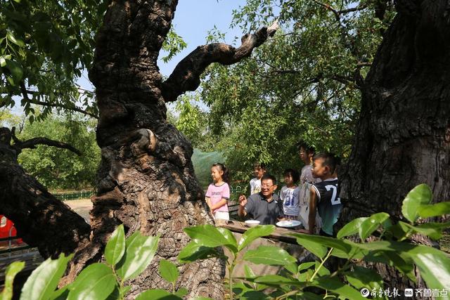 镜头里的新发展新活力｜“大美乐陵・见证精彩”摄影采风活动纪实