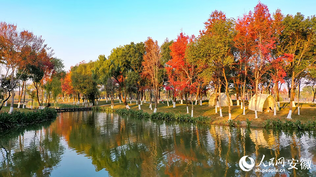 大阳垾公园：鸠江“绿肺”焕新颜