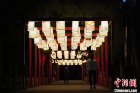 昼赏繁花夜观灯 北京景山公园推出多项节日游园活动图片