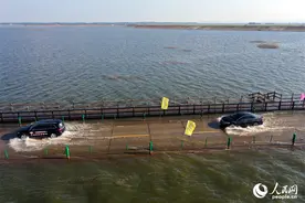 江西永修：鄱阳湖再现“水上公路” 游客纷至沓来图片