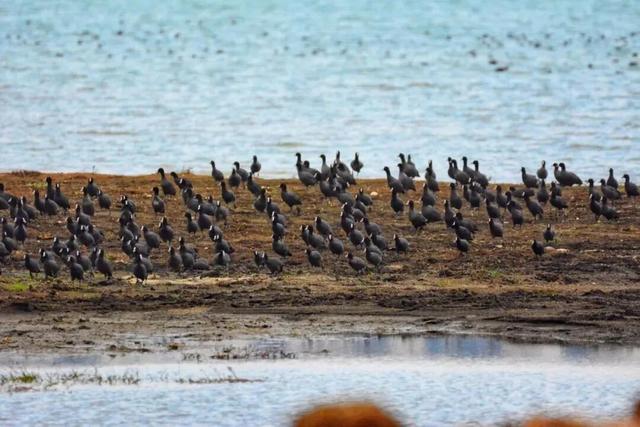 来保山，让冬日住进22℃的温柔里！