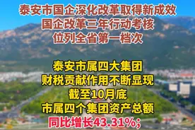 截至10月底，泰安市属四个集团资产总额同比增长43.31%图片