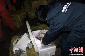 辽宁海警局查获一起海上走私案 查扣象拔蚌1.5万余公斤图片