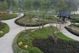 快来打卡游玩！蜀山区这一游园国庆正式开放图片