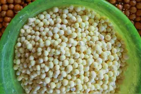 苏州人的“掌上明珠”上市！今年价格……图片