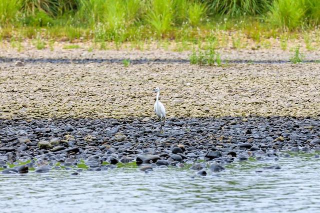 秋日龙虎山，辽宁老铁乐游仙境！