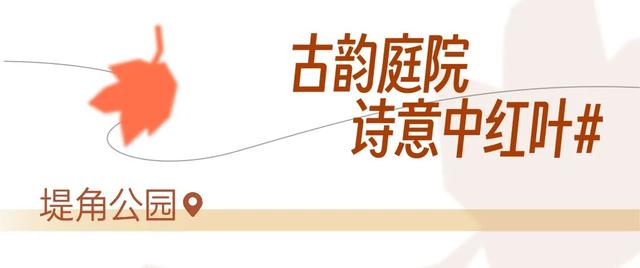 红红红红！红“枫”了！