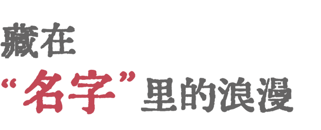 起猛了，我在洛阳被「牡丹」包围了！