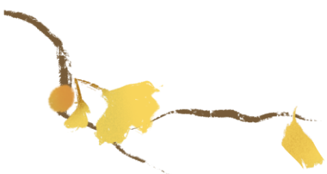 金灿灿！宜都限定美景上线！