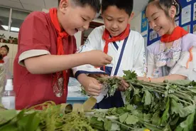 艾草扎龙舟，缎带裹粽子：端午节令商品，不比价格比创意图片