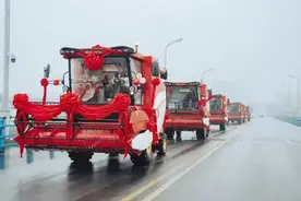 恭喜！阜阳的他们结婚了！婚车好拉风！图片