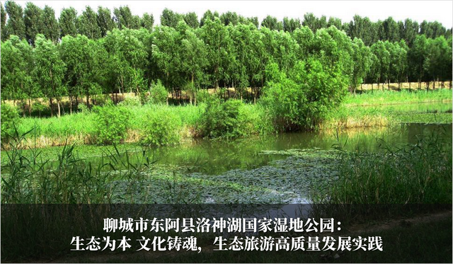 发挥生态优势 促进旅游发展 2024-2025年度山东省生态旅游发展典型案例公布