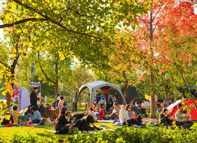 秋冬限定的普陀，美到让人流连忘返，你还不来打卡吗？