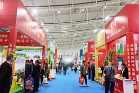 2024城市记忆·振兴时刻：济南的振兴颜色，叫“农”墨重彩图片