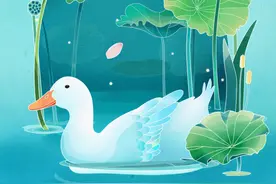 门前大桥下，游过一群鸭......图片