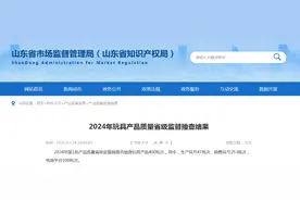 山东省市场监管局公布2024年玩具产品质量省级监督抽查结果图片