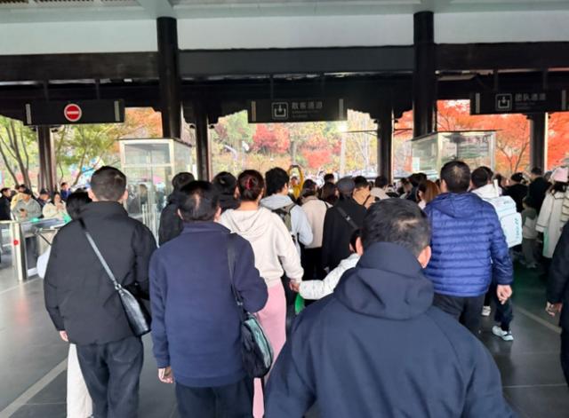 秋日特调！南京“西红柿炒蛋”皮肤已限时上线！