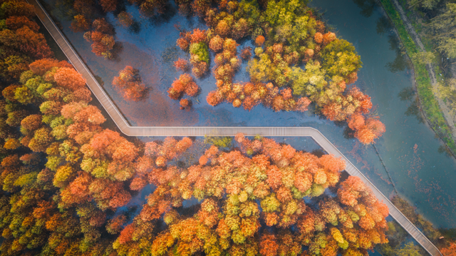 崇明这条生态研学路线，走起！