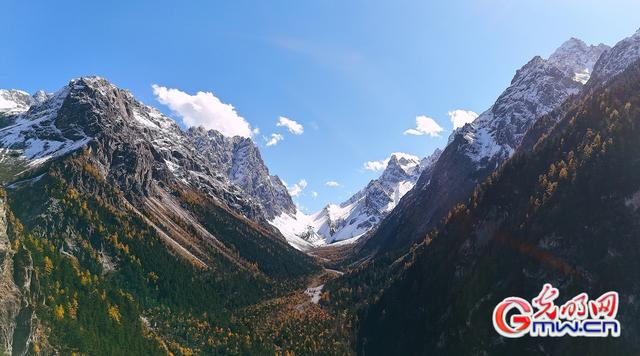 美丽中国｜秋染王朗：雪山与彩林同框