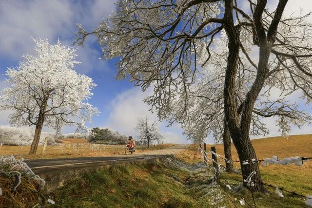 超出片！毕节冬日限定美景进入最佳观赏期