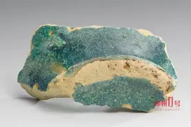 神奇！“两抹蓝”在柳州被发现！背后故事不简单！图片