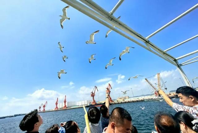 大连海岛游渐息，海钓游接棒！
