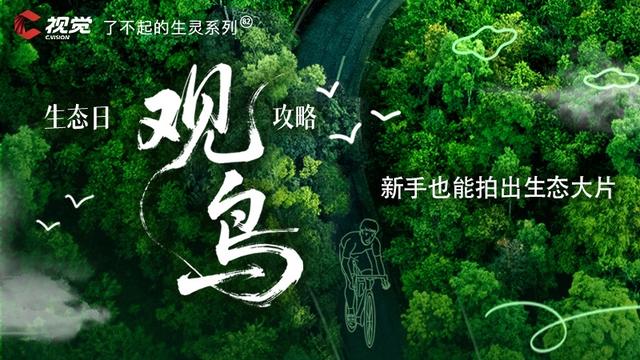 C视觉·了不起的生灵（82）生态日特辑｜这份成都观鸟攻略 新手也能拍出生态大片