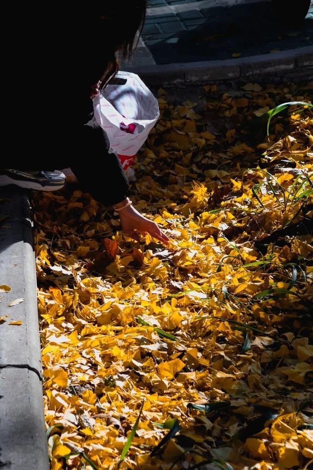 限时绝美！年度顶流！