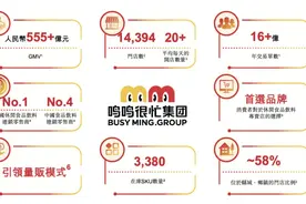 年入近400亿，两个80后干成“行业一哥”，冲刺上市图片