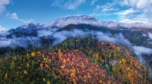 冬季暖阳 凉山不凉 | 彩林与暖阳的双向奔赴