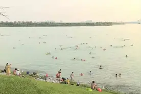 游“野泳”很危险！请勿拿生命当儿戏图片