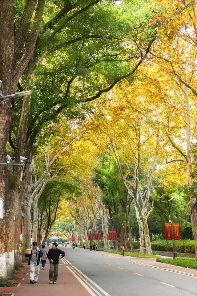 最好的秋天，在华师！